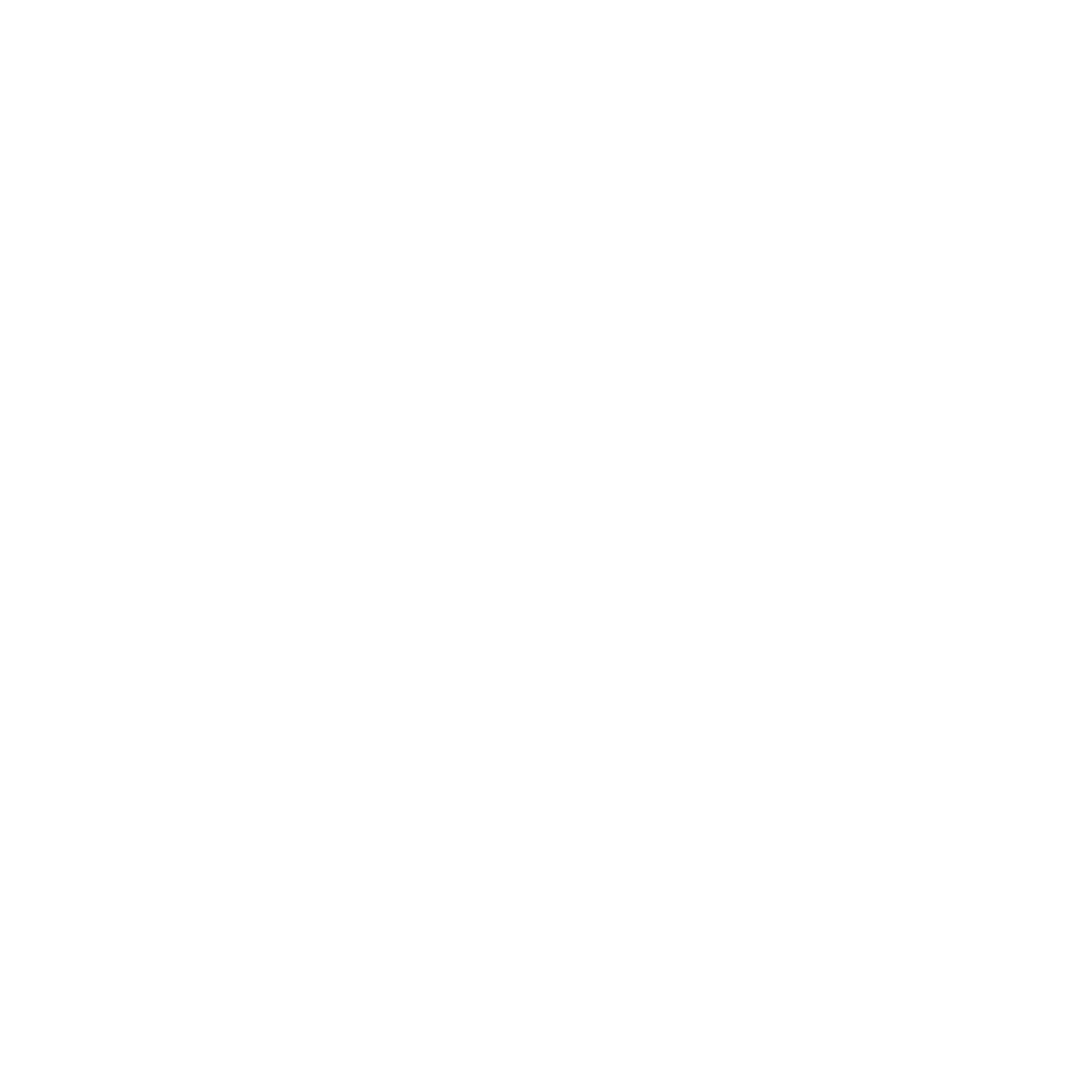 The Brave Next main logo, The Brave Next official logo